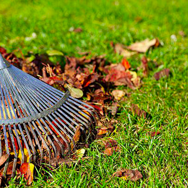 sprzątanie terenu zewnętrznego